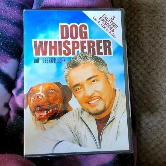 Screen Media DVD "Dog Whisperer" 3 Exciting Episodes(Coach,.. BUY 3 get 2 free! - Picture 1 of 4